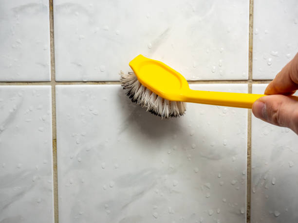 Best Residential Mold Removal  in Thayer, MO