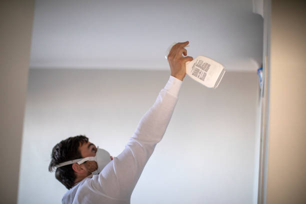 Best Office Mold Removal Services  in Thayer, MO