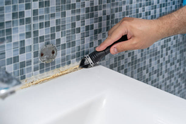 Best Affordable Mold Removal  in Thayer, MO