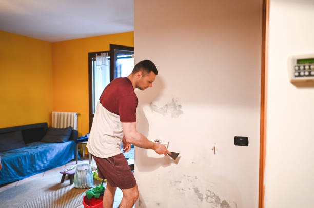 Best Mold Remediation  in Thayer, MO